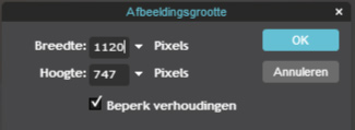 Afbeeldingsformaat wijzigen